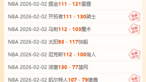 拜仁与不来梅第31轮德甲激战